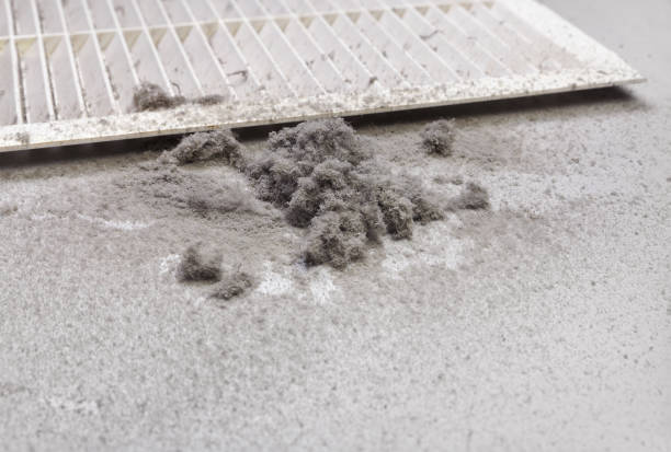 Best Home Air Vent Cleaning  in Dilley, TX