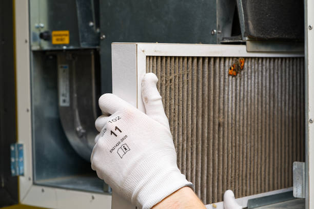 Best Air Quality Test  in Dilley, TX