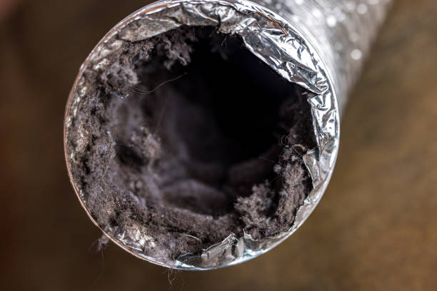Trusted Dilley, TX Airduct Cleaning Experts